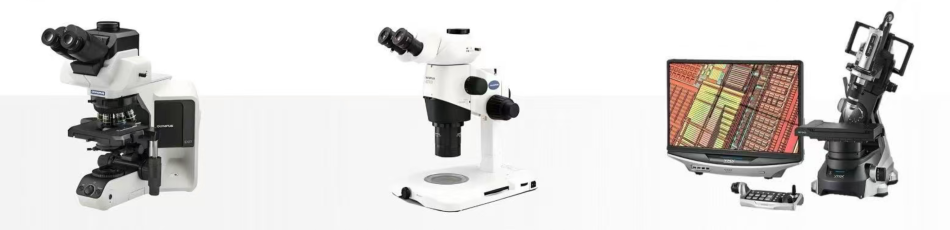 Microscopic Filming Services in China | Olympus & Keyence Imaging
